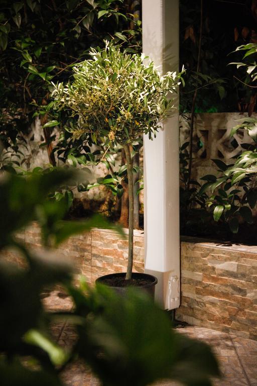 Muses Studios Potos Ngoại thất bức ảnh